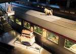 Museum Train World Brüssel: Originelle Darstellung bezüglich der Ausstellung 'Animalia'.
