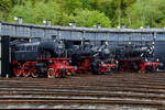 Drei auf einem Streich - die Dampflokomotiven 66 002, 97 502 und 146 BLE wurden im April 2024 vor dem Rundlokschuppen im Eisenbahnmusem Bochum präsentiert.