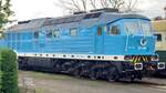 233 450 D-TFR (Traktion4Rent)  Blue Lady  im Eisenbahnmuseum Leipzig, aufgenommen am 15.4.24 vom Eingang der Kleingartenanlage neben dem Museum.