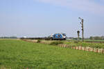 247 908 erreicht mit dem RDC Autozug von Westerland(Sylt) nach Niebüll den Betriebsbahnhof Lehnshallig.