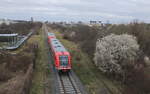DB 641 023 + 641 021 als RE 16256 von Erfurt Hbf nach Mühlhausen (Thür), am 13.03.2024 in Erfurt Nord.