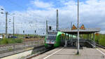 Der Elektrotriebzug 422 036-4, unterwegs als S1 in Richtung Solingen, ist hier Anfang April 2024 bei der Ankunft in Bochum-Langendreer West zu sehen.