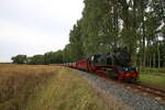 99 2323 dampfte mit ihrem Zug am 23.7.2023 durch die Felder entlang der Ostseeküste zwischen Kühlungsborn und Bad Doberan, in Kürze wird das Ostseebad Heiligendamm erreicht.