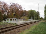 Nichts Aufregendes gibt es an der Station Hammelspring(Strecke Löwenberg-Templin).Aufgenommen am 19.Oktober 2019.