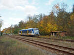 RS1 (VT 013) der Niederbarnimer Eisenbahn (NEB) auf der RB36, hier bei Müllrose.