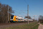 Seit dem Fahrplanwechsel im letzten Dezember betreibt die ODEG den RE1 in Brandenburg, Berlin und Sachsen-Anhalt.
