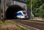 Der ETR 563 002-6  Città di Gorizia  taucht aus dem 5575 Meter langen Campiolo-Monte-Palis-Tunnel bei Moggio auf und wird nach einer kurzen Fahrt im Tageslicht über die Val-Aupa-Brücke,