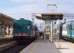 Umsteige-Bahnhof Ozieri-Chilivani am 22.10.2005: Bahnsteig 4 Triebwagen ALn 668.3194 Olbia - Sassari, Bahnsteig 5 zwei Triebwagen BR ALn 668 Sassari - Cagliari.