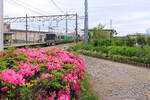 Auf der Ainokaze Toyama Bahn: Zug 521-18 ist in der kleinen Ortschaft Tomari angekommen, nachdem er die ganze Praefektur Toyama von West nach Ost durchfahren hat.