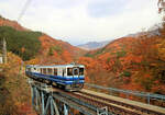Die Aizu Privatbahn: Touristikzug AT 401 (ein ehemaliger JR Dieseltriebwagen, jetzt Salonwagen) + AT 351 (ehemaliger Aizu Bahn-Triebwagen, jetzt Wagen mit offenen Seitenwänden) im herbstlichen
