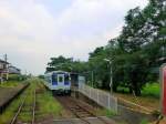 Matsu-ura-Bahn: Triebwagen 615 kreuzt in Kusuku mit seinen uralten Bäumen, 26.Juli 2013.