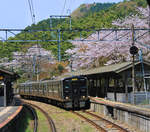 JR Kyûshû Serie 813: Zug 813 Nr.118 im Hinterland von Fukuoka, bei den Tempelanlagen von Kido Nanzôin.