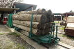 Die Erhaltene Güterwagen und Dieselloks die auf einer Holztransportbahn mit 762 mm spur.(Es ist nicht bekannt, auf welcher Holztransportbahn sie eingesetzt wurden), im 27.03.2023, Nakagawa
