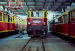 Das Depot Schruns der privaten österreichischen Montafonerbahn war ein Sammelsurium verschiedenster Wagentypen und Lokomotiven.