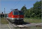 Mit der ÖBB 1144 280 erreicht der IC 118 Bodensee den Bahnhof von Bregenz.