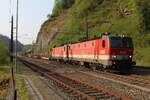 Im Bahnhof Kleinreifling warten am Morgen des 12.4.2024 die 1144 034 und die 1144 115 mit einem gemischten Güterzug von Villach Süd Gvbf nach Wien Zvb auf die Weiterfahrt.
Der Güterzug wurde wegen der dreiwöchigen Semmeringsperree über Selzthal und St.Valentin umgeleitet.