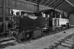 Die Dampflokomotive  22  wurde im Jahr 1939 bei Borsig gebaut und war als HF191 von Oktober 1942 bis März 1943 auf der Schmalspur-Heeresfeldbahn Tuleblja-Demjansk in der Sowjetunion im