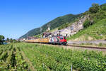 Die Re 420 251   175 Jahre Schweizer Bahnen  bei der Durchfahrt im Winzerdorf Ligerz am Bielersee Richtung Olten.