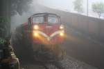 Im dichten Nebel fährt die AFR DL43 am 05.Juni 2014 mit Zug 113 von der Sacred Tree Station zu der Alishan Station.