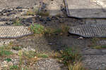 Im inzwischen aufgelassnem Teil der BWW Ceska Lipa finden sich noch die Reste einer  Doppeldrehscheibe, die Gleis dienten wohl der Bekohlung ??  So verstand der Fotograf die Erklärung eines