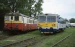 Am 16.6.2001 standen im Depot Krnov 830205 neben 810069.