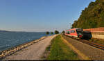 426 030 (Siemens Desiro Classic) entschwindet bei Bélatelep (HU) den letzten Sonnenstrahlen über dem Balaton.