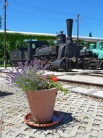 Durch die Blume gesehen: Lok 1026 der MAV-Baureihe 341, Hungarian Railway Museum, Budapest, 18.6.2016