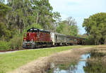 1912 passes Gator Pond whilst hauling an Orlando Northwestern Train from Mount Dora to Tavares, 2 March 2019.